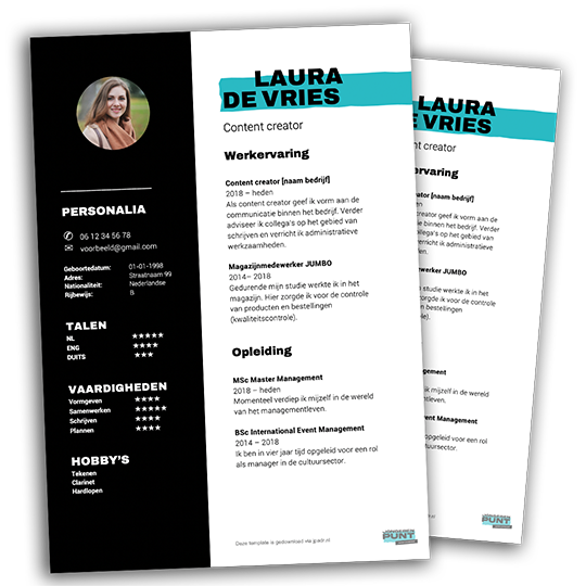 cv template blokken